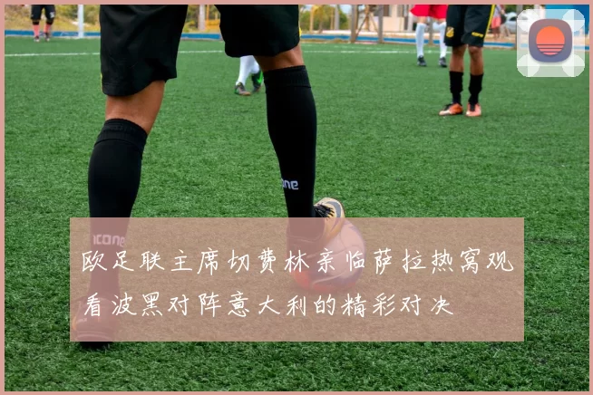欧足联主席切费林亲临萨拉热窝观看波黑对阵意大利的精彩对决